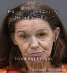 Mugshot of MISTY MAE GOLDY