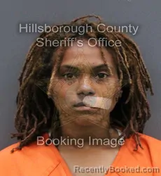 Mugshot of DEANNA OLIVIA CRAIN