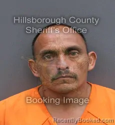 Mugshot of VICTOR HUGO PINA