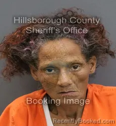 Mugshot of LILLIAN DEJESUS