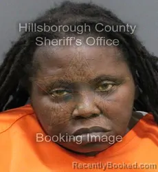 Mugshot of DANIELLE PATRISE HILL