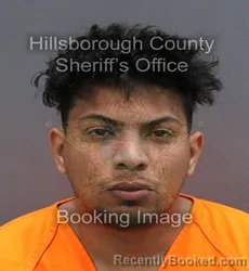 Mugshot of YOAN GONZALEZ SOLORZANO