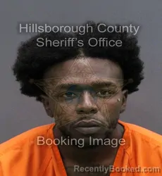 Mugshot of DIEMANTE JAVARIS ROBERTS