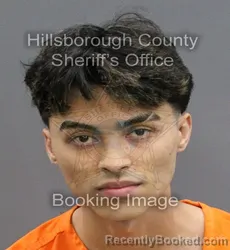 Mugshot of JULIAN LORENZO PEREZ