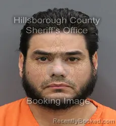 Mugshot of NESTOR DIAZ FERRER