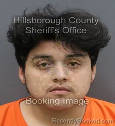 Mugshot of LUIS SANCHEZ