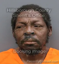 Mugshot of JOHN BRIT WATSON