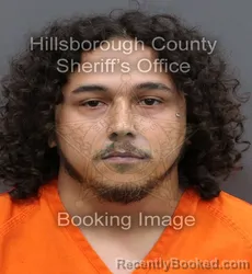 Mugshot of LUIS VARGAS VEGA