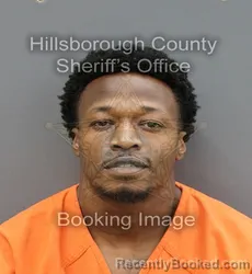 Booking photo from Hillsborough County, Florida