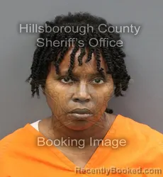 Booking photo from Hillsborough County, Florida