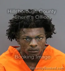 Mugshot of ORENTHAL JERMAINE ENGRAM JR