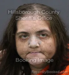 Mugshot of TARA ANN HIGGINS