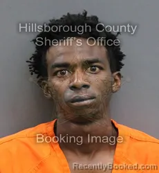 Mugshot of JULIUS ERVIN II JOHNSON