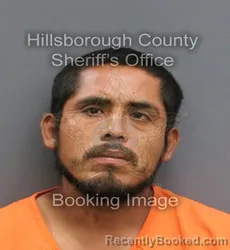 Mugshot of JORGE HERNANDEZ AGUILAR