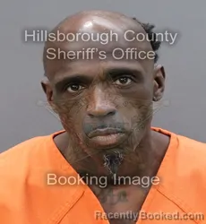 Booking photo from Hillsborough County, Florida