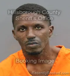 Booking photo from Hillsborough County, Florida