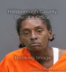 Mugshot of SHAMPAYNE ANDRIKA MARTIN