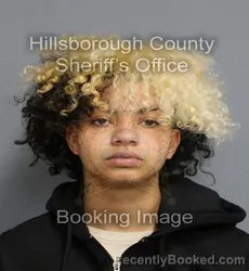 Mugshot of ALEXIZ LYNN ILLISCAVITCH