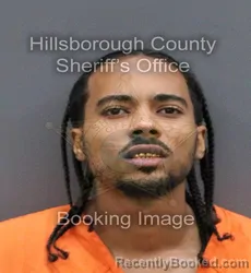 Mugshot of JAMES ARTHUR GRAVES JR GRAHAM