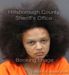 Booking photo from Hillsborough County, Florida