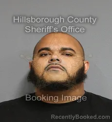 Booking photo from Hillsborough County, Florida