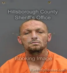 Mugshot of GIL JR LAWSON