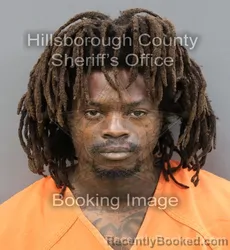 Mugshot of LORENZO LAVON JR MAGWOOD