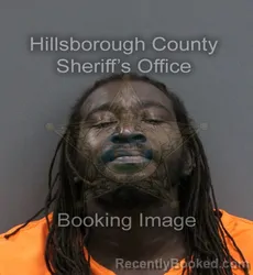 Mugshot of RYMOND STEVEN JR MORRELL