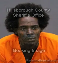 Mugshot of ROBERT DELL CLARK