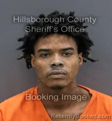 Mugshot of ADANNY JAHEEM WILLIAMS