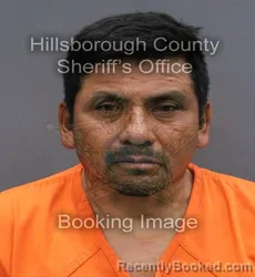 Mugshot of ADOLFO HILARIO ANASTACIO