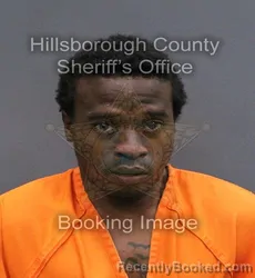 Mugshot of DAVID VINCENTE JR PETERSON