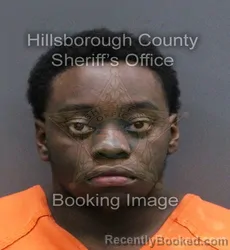 Mugshot of JO NAZ LA VAR JR ADAMS