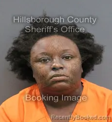 Mugshot of TIANA AKINS