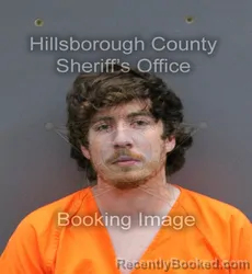Mugshot of BRIAN SHAWN ALDRICH
