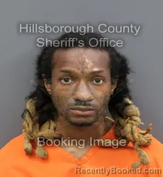 Mugshot of CAMERON D CHATMAN
