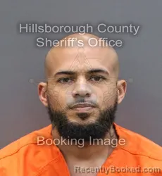 Mugshot of DAVID SAMUEL BOSTON