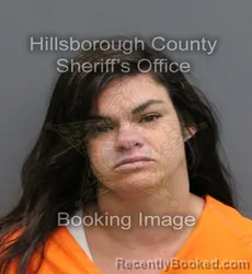 Mugshot of MEGAN RAE MIDDLETON