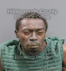 Mugshot of ELLIGHA FASHAWN FRED WILSON