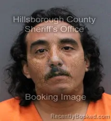 Mugshot of LUIS JR ESPINOSA