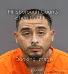 Mugshot of GEOVANY ROBERTO BROCHE