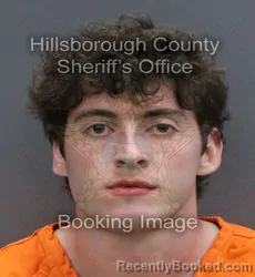 Mugshot of MARCO LOUIS FRAGOSO