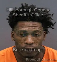 Mugshot of EARLIE JR RAGSDALE