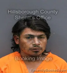 Mugshot of CONCEPSION ELIAS ESTRADA