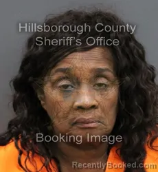 Mugshot of SAUNDRA ELAINE WALLACE