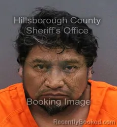 Mugshot of DOMINGO DIAZ GOMEZ