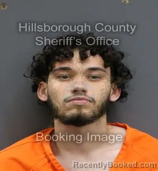 Mugshot of CARLOS ALBERTO JR GARCIA
