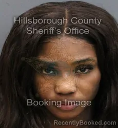 Mugshot of COURTNEY MARIE HENRY