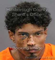 Mugshot of GABRIEL JOSE ORTIZ NEGRON