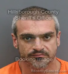 Mugshot of JOEL CESPEDES